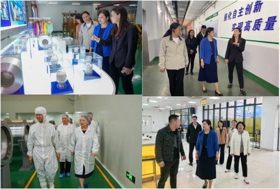 球王会网站